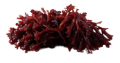 Astaxanthin