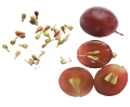 GrapeSeed